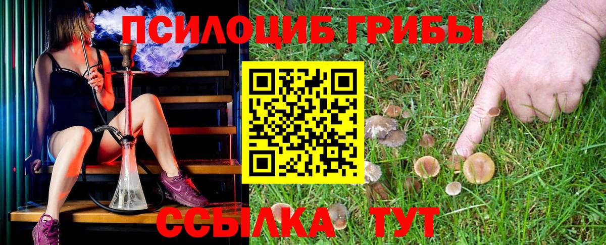 Псилоцибиновые грибы Magic Shrooms Пыть-Ях