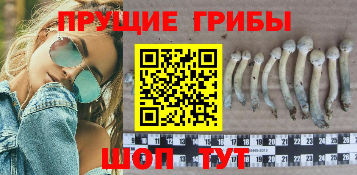 Галлюциногенные грибы мицелий  купить   Пыть-Ях  Галлюциногенные грибы мицелий  Вход с VPN 
